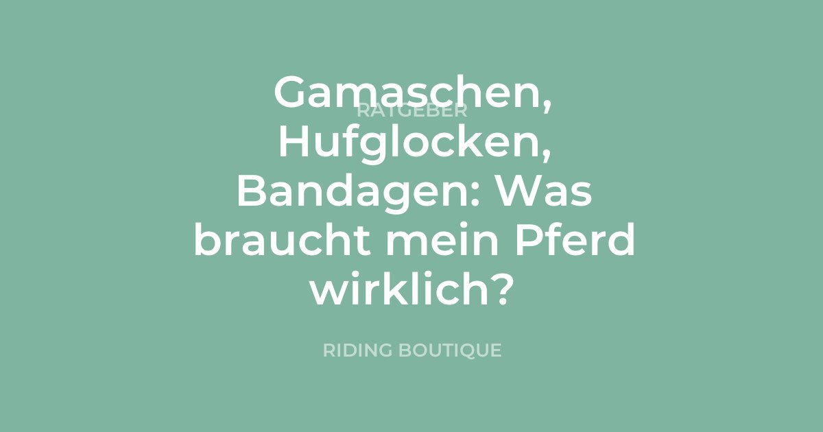 Gamaschen, Hufglocken, Bandagen: Was braucht mein Pferd wirklich?