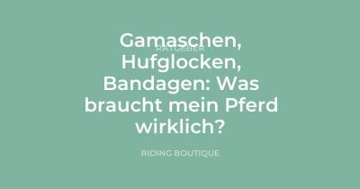 Gamaschen, Hufglocken, Bandagen: Was braucht mein Pferd wirklich?